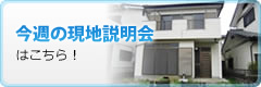 今週の現地販売会はこちら！