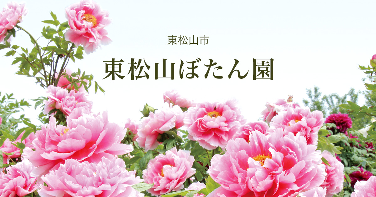 公園スタッフから、日々のできごとやお花の情報などを発信しています。