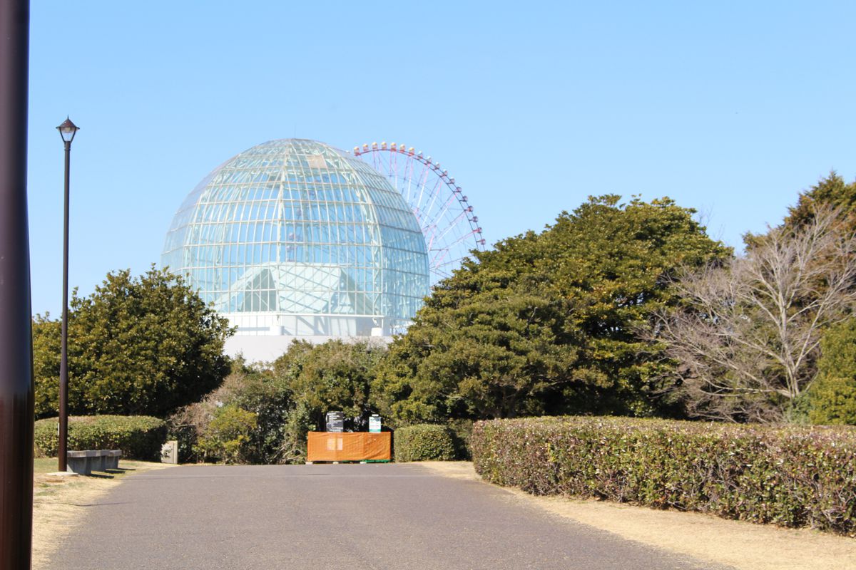 東京都江戸川区の葛西臨海公園内の水族園の建て替え計画をめぐり、住民らから反対の声が出ている。樹木を伐採して太陽光パネルを設置する方針について、自然破壊につながるリスクが指摘されているためだ。…